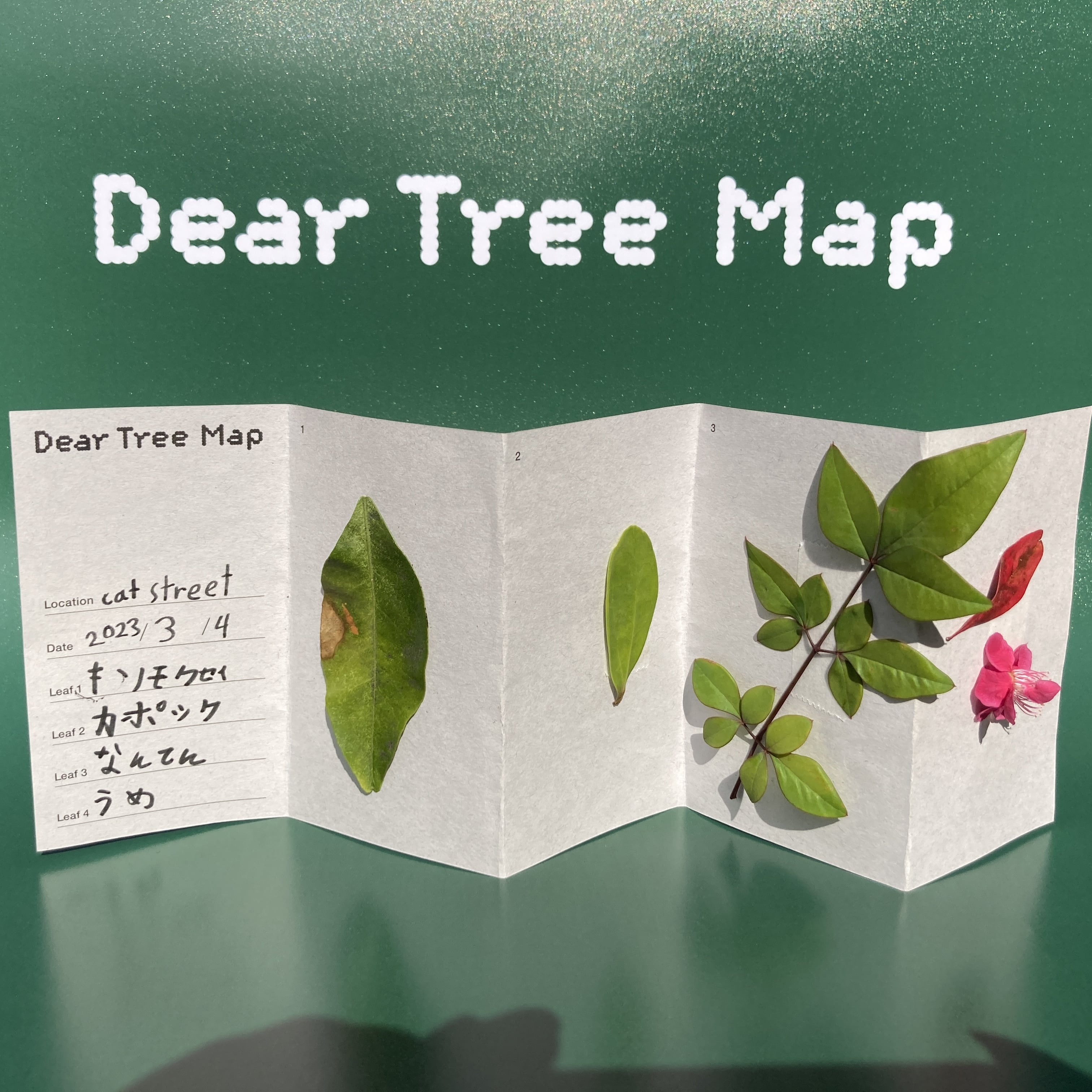 イベントレポート:Dear Tree Project