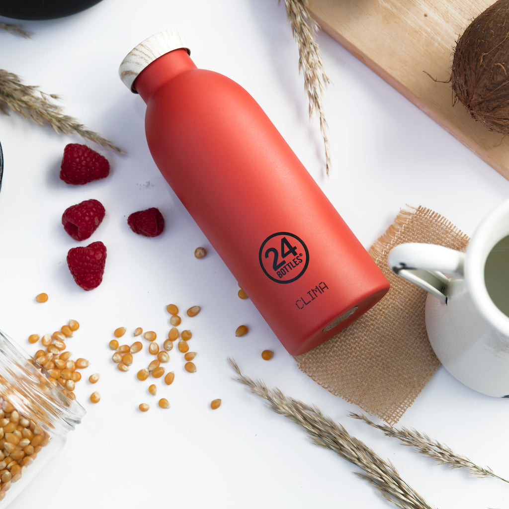 ステンレス製断熱ボトル - PACHINO - Borderless Creations