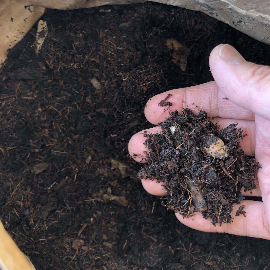 我が家のコンポスト・チャレンジ！NO. 5