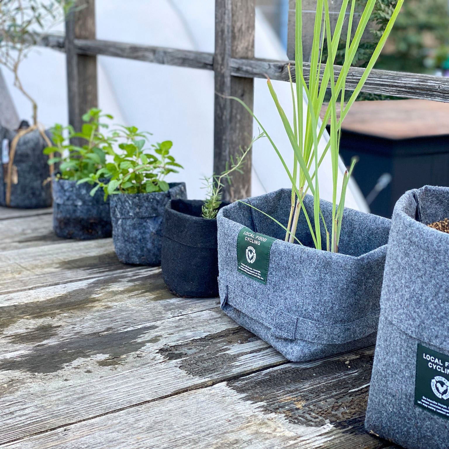 土を触り、野菜を育てる / 1.2mile community compost 続報