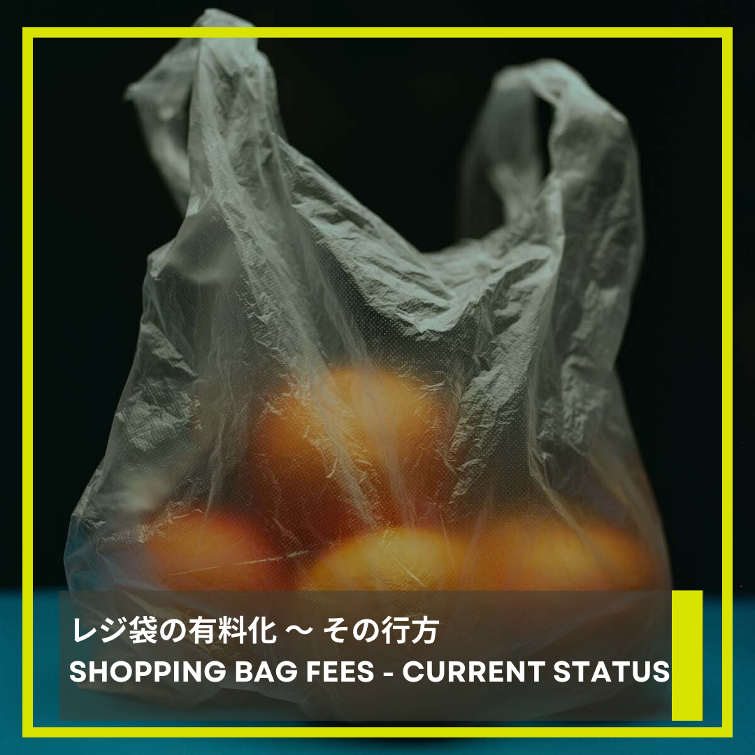 レジ袋の有料化 〜 その行方