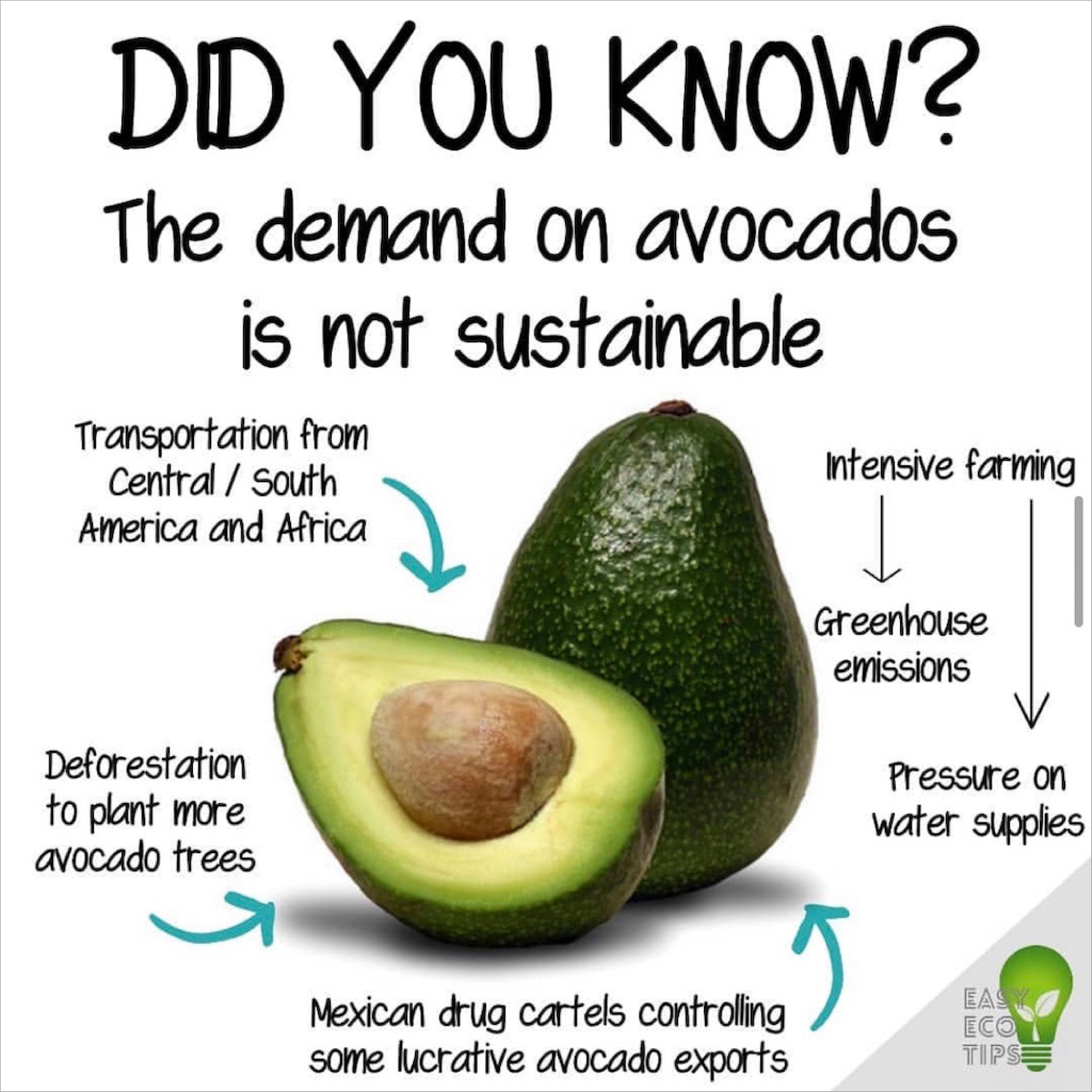 Easy Eco Tips : エコライフを始めよう！