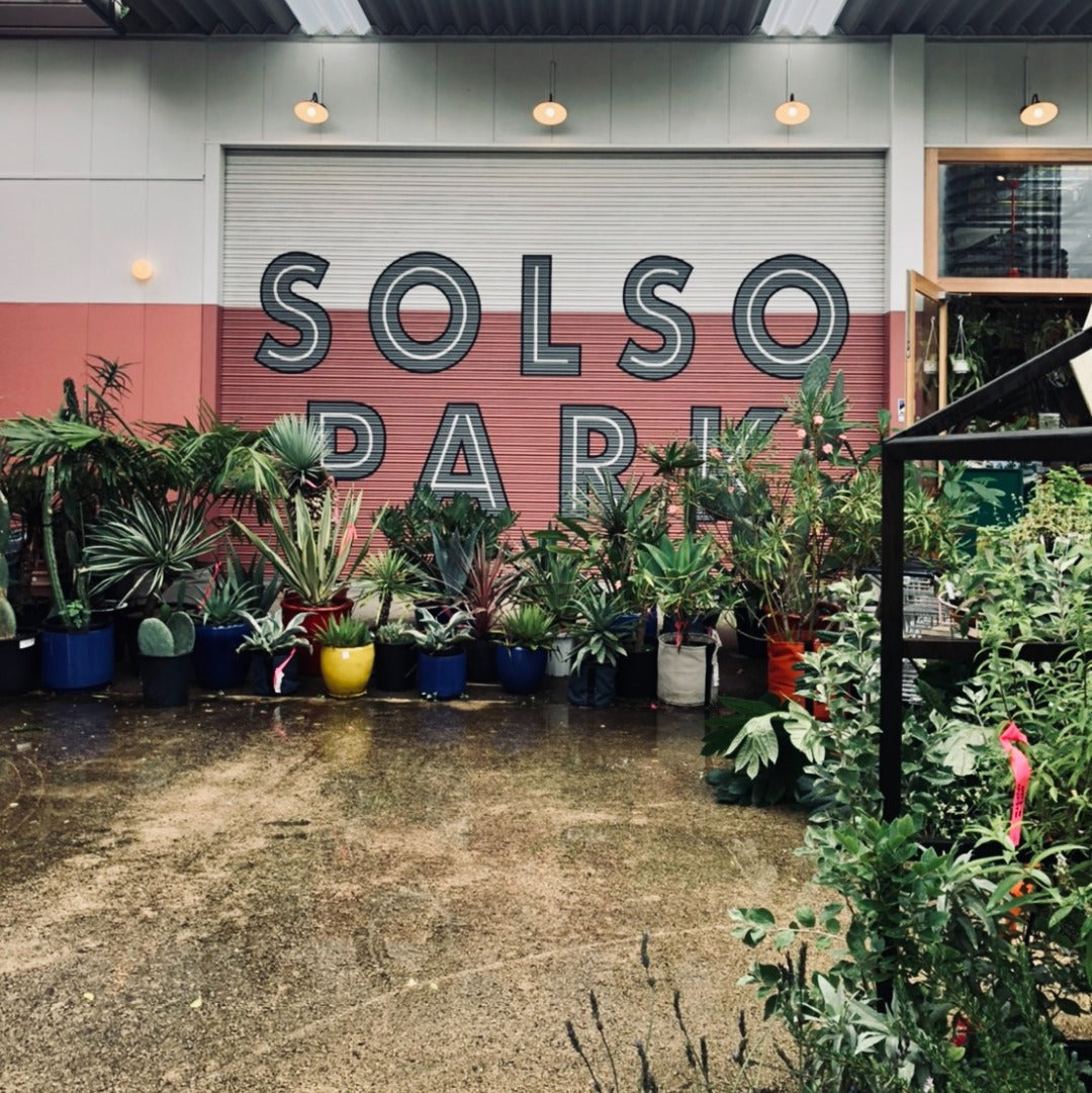 Pop Up @ Solso Park