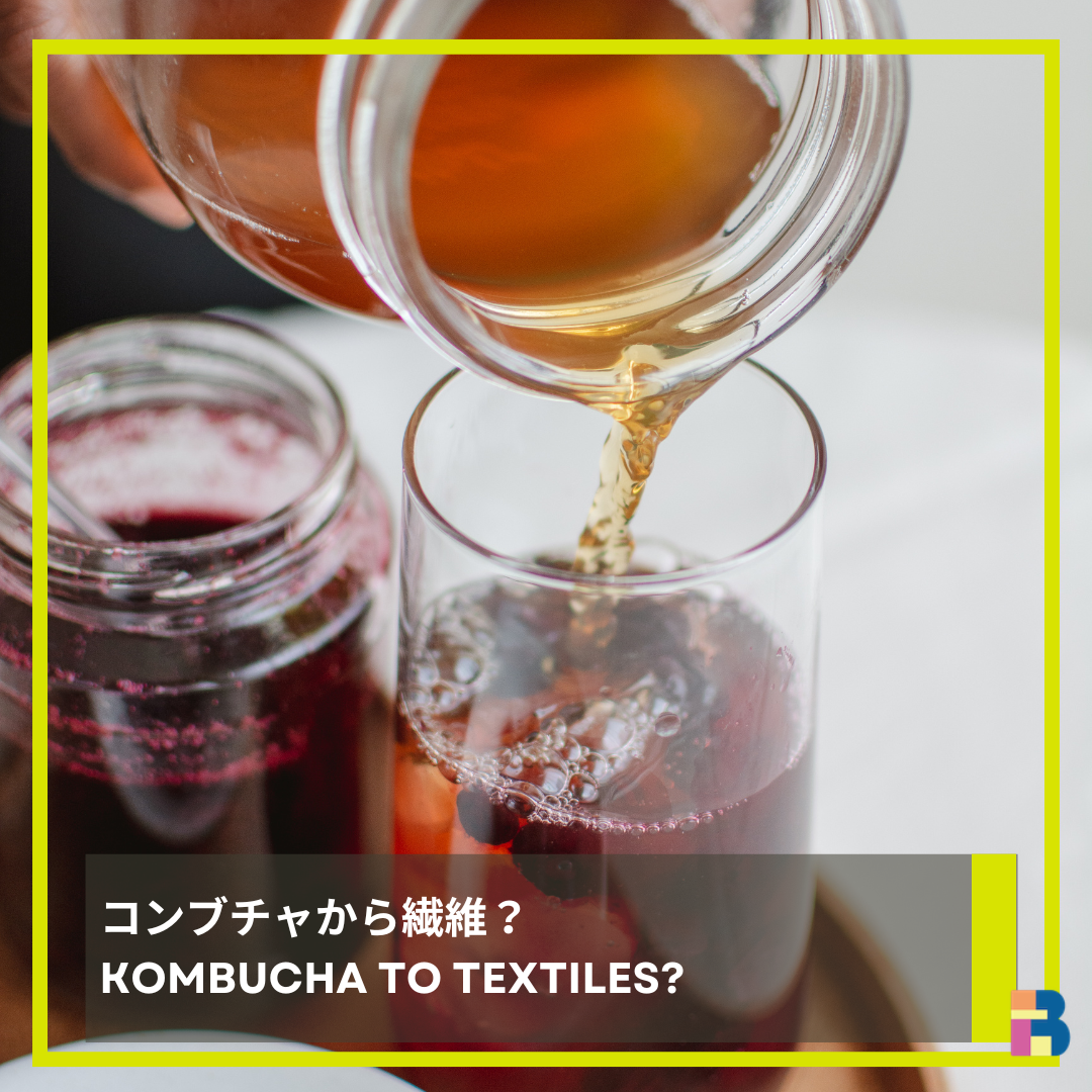 コンブチャから繊維？